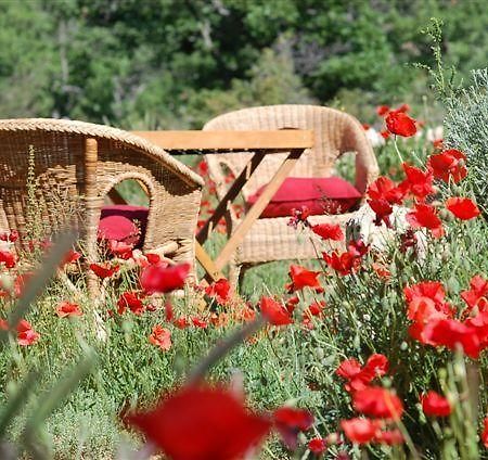 Maison Rouge Plan d'Aups Εξωτερικό φωτογραφία