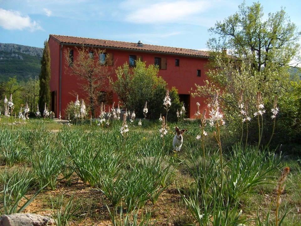 Maison Rouge Plan d'Aups Εξωτερικό φωτογραφία