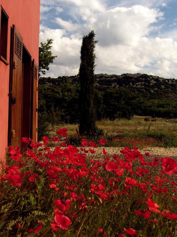 Maison Rouge Plan d'Aups Εξωτερικό φωτογραφία